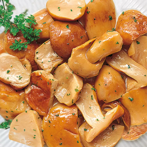 Funghi porcini (Cèpes) "FRESCOVIVO" 750 gr